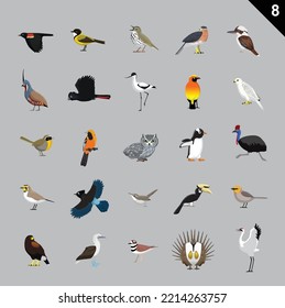 Various Birds Cartoon Vector Illustration 8