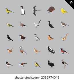 Various Birds Cartoon Vector Illustration 9