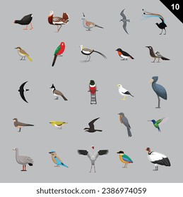 Ilustración de vectores de dibujos animados de aves diversas 10
