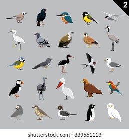 Various Birds Cartoon Vector Illustration 2