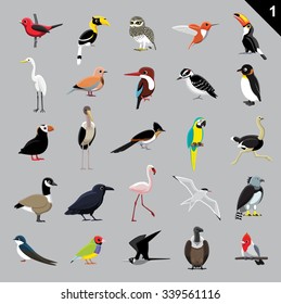 Various Birds Cartoon Vector Illustration 1