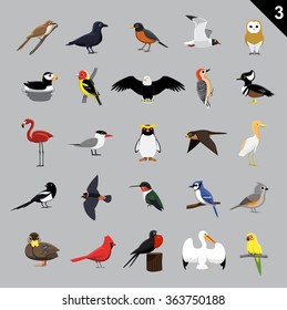 Various Birds Cartoon Vector Illustration 3