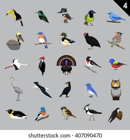 Various Birds Cartoon Vector Illustration 4