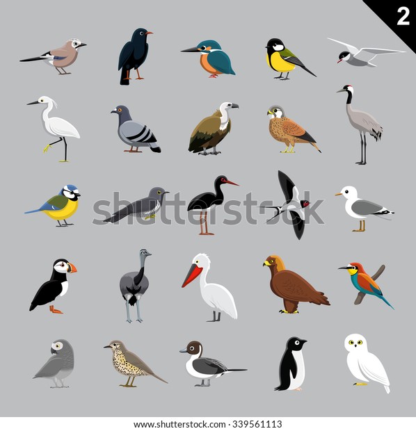 Various Birds Cartoon\
Vector Illustration 2