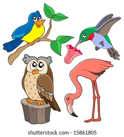 Various birds collection 02 - vector illustration.