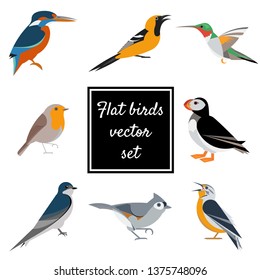 Various birds flat design vector illustrations