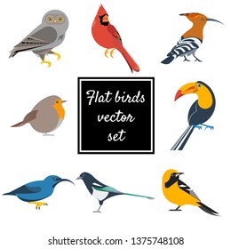Various birds flat design vector illustrations
