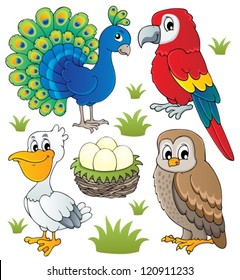 Various birds theme set 2 - vector illustration.