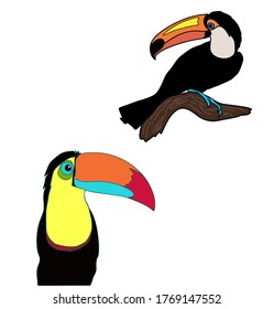 Various birds vector set illustration of toucan owl guinea fowl