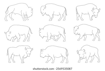 various bison line on the white background