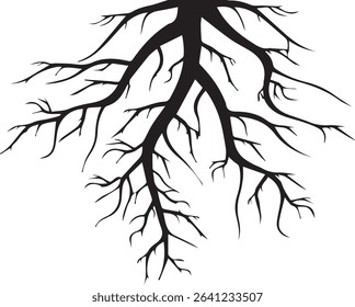 Various black tree or shrub roots. Parts of plant, root system with tree stump. study of woody plants. Sketch drawing. Vector