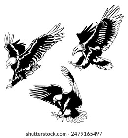 various black and white eagle poses on a white vector background