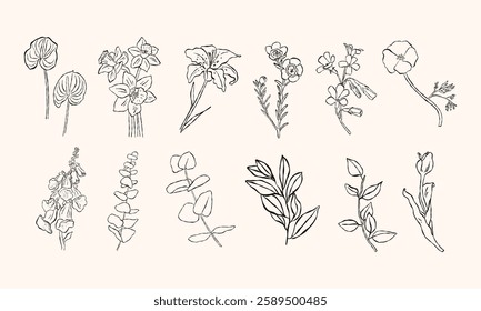 Various blooming flowers. Minimalistic vector hand drawn set illustration. All elements are isolated.