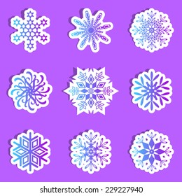 Various blue and violet vector snowflakes with shadow