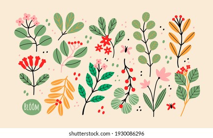Various Branches with Flowers, Leaves and Berries. Hand drawn Vector Set. Colorful trendy illustration. All elements are isolated. Perfect For your own design