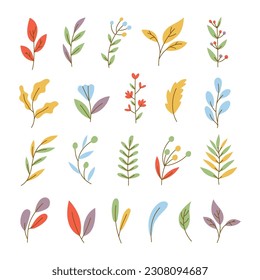 Various Branches with Flowers, Leaves and Berries. Hand drawn Colorful trendy illustration. All elements are isolated. Vector stock illustration, all elements isolated. 