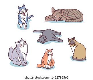 various breed of cats. hand drawn style vector design illustrations.