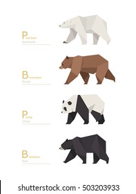 various breeds bears low poly style animal vector illustration flat design