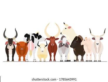various breeds of cattle group