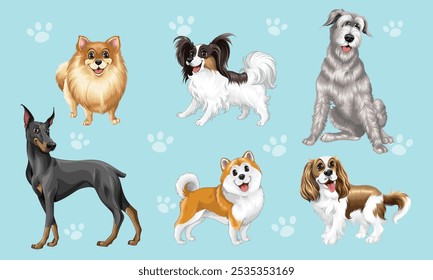 Várias raças de cães, Incluem akita, wolfhound, Cavalier spaniel, Pomeranian, Doberman, Papillon