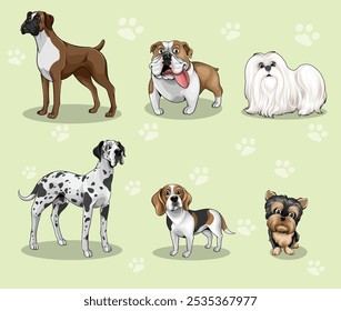 Várias raças de cães, Incluir maltês, yorkie, beagle, buldogue, boxer, grande dinamarquês