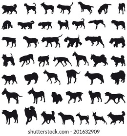 Various breeds many dogs black silhouettes