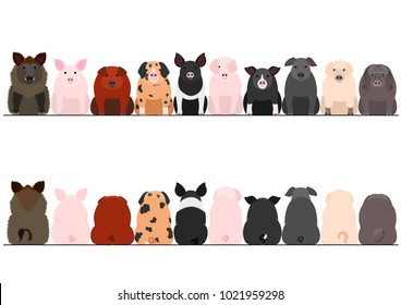 various breeds of pigs front and back border set