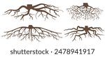 Various brown tree or shrub roots. Parts of plant, root system with tree stump. Dendrology, study of woody plants. Sketch drawing. Vector illustration. eps 10