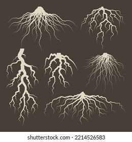 Various brown tree or shrub roots. Parts of plant, root system with tree stump. Dendrology, study of woody plants. Sketch drawing. Vector illustration
