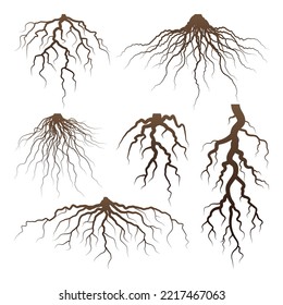 Various brown tree or shrub roots. Parts of plant, root system with tree stump. Dendrology, study of woody plants. Sketch drawing. Vector illustration