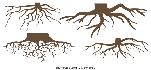 Various brown tree or shrub roots. Parts of plant, root system with tree stump. Dendrology, study of woody plants. Sketch drawing. Vector illustration. eps 10