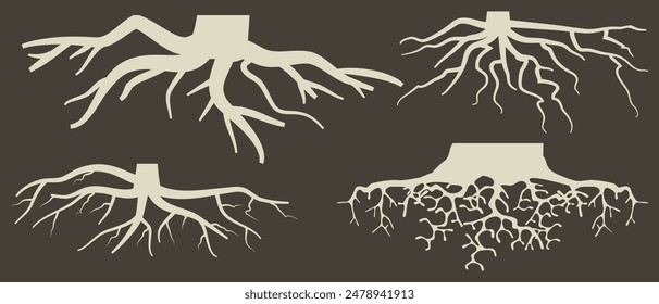 Various brown tree or shrub roots. Parts of plant, root system with tree stump. Dendrology, study of woody plants. Sketch drawing. Vector illustration. eps 10