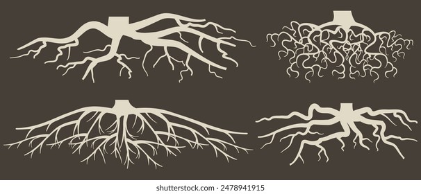 Various brown tree or shrub roots. Parts of plant, root system with tree stump. Dendrology, study of woody plants. Sketch drawing. Vector illustration. eps 10