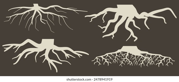 Various brown tree or shrub roots. Parts of plant, root system with tree stump. Dendrology, study of woody plants. Sketch drawing. Vector illustration. eps 10