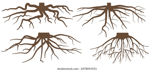 Various brown tree or shrub roots. Parts of plant, root system with tree stump. Dendrology, study of woody plants. Sketch drawing. Vector illustration. eps 10