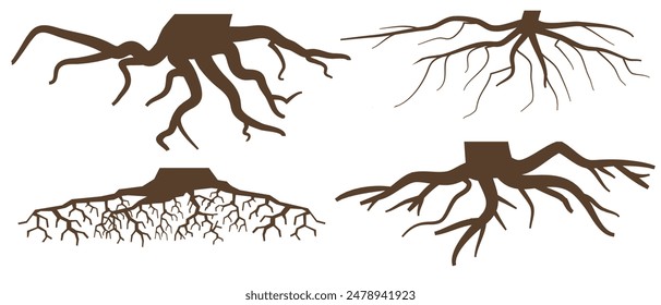 Various brown tree or shrub roots. Parts of plant, root system with tree stump. Dendrology, study of woody plants. Sketch drawing. Vector illustration. eps 10