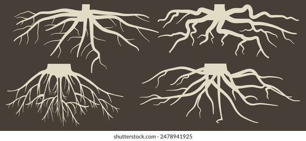 Various brown tree or shrub roots. Parts of plant, root system with tree stump. Dendrology, study of woody plants. Sketch drawing. Vector illustration. eps 10