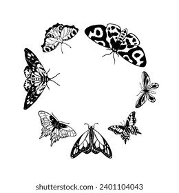 Varias mariposas, polillas en círculo. Volando insectos en composición redonda. Monarca, machaon, cola de toronja de aves. Libro de colorantes de fauna exótica. Representación de ilustraciones de vectores aisladas dibujadas a mano en blanco