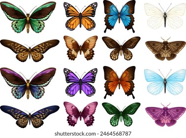 Various butterflies in vibrant colors and patterns