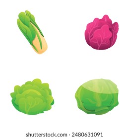 Various cabbage icons set cartoon vector. Chinese, red and white cabbage. Organic vegetable