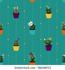 Various cacti flowers on blue - vector background