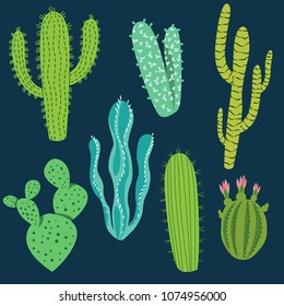 Various cactus plants in different shapes and shades of green.