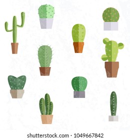 Various cactus plants set in ceramic and concrete pots in flat style on background
