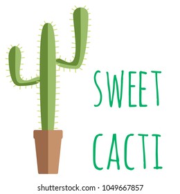 Various cactus plants set in ceramic and concrete pots in flat style on background