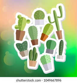 Various cactus plants set in ceramic and concrete pots in flat style on background
