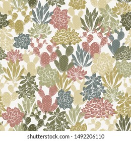 Various cactus seamless pattern. Succulent background. Calm color. Floral design. Vector illustration