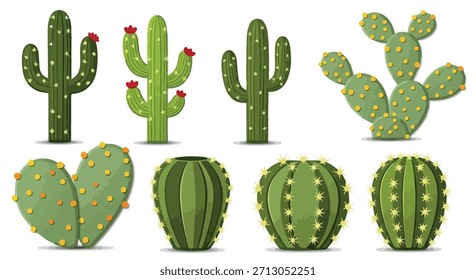 Various cactus types collection with transparent background