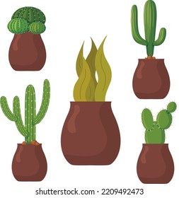 Various Cactus Vectors Cute Cactus Set 