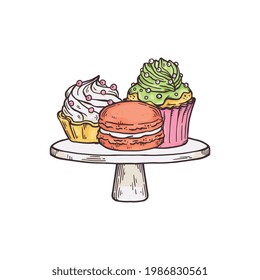 Various cakes and cupcakes on serving plate, sketch cartoon vector illustration isolated on white background. Beautiful baked pastries with whipped cream.
