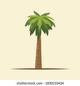 various cartoon palm tree icon,symbol and vector,Can be used for web, print and mobile